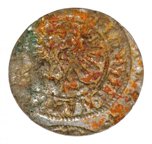 Szeląg 1654 Fryderyk Wilhelm Księstwo Pruskie Królewiec