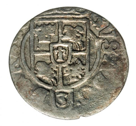 Półtorak 1633 Gustaw II Adolf Elbląg