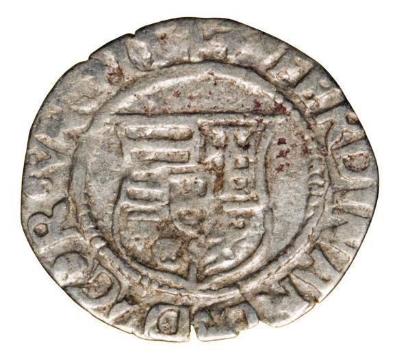 Denar 1544 Ferdynand I Habsburg Węgry Kremnica