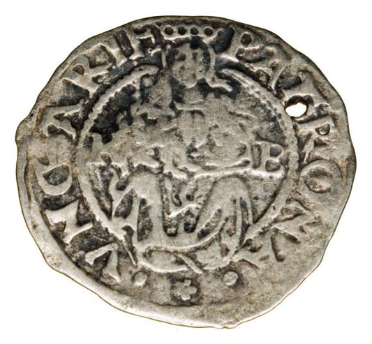 Denar 1557 Ferdynand I Habsburg Węgry Kremnica