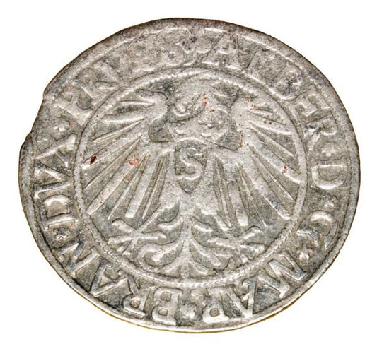 Grosz 1541 Albrecht Hohenzollern Niemcy Królewiec