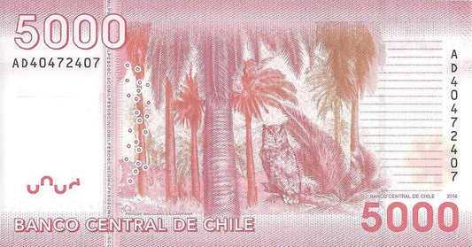 Chile 5000 peso Sowa 2014 P-163e