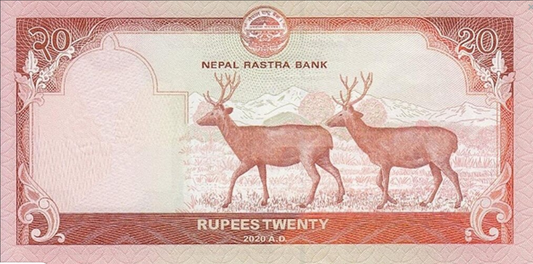 Nepal 20 rupii Sarny 2020 P-78b