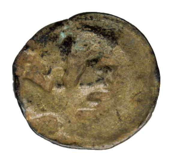 Denar Trójliść Gryf Gardziec Gartz