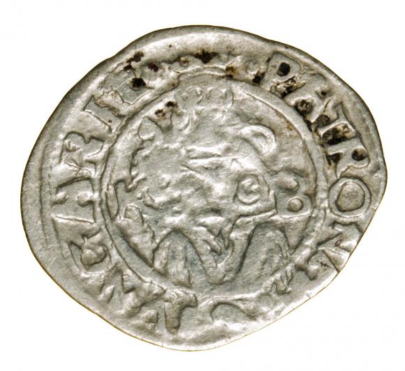 Denar 1546 Ferdynand I Habsburg Węgry Kremnica