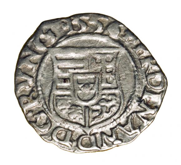 Denar 1556 Ferdynand I Habsburg Węgry Kremnica