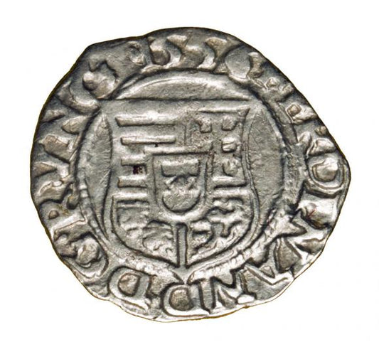 Denar 1556 Ferdynand I Habsburg Węgry Kremnica