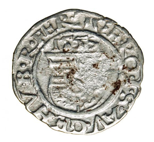 Denar 1559 Ferdynand I Habsburg Węgry Kremnica