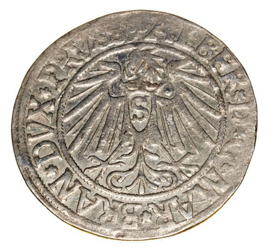 Grosz 1541 Albrecht Hohenzollern Księstwo Pruskie Królewiec