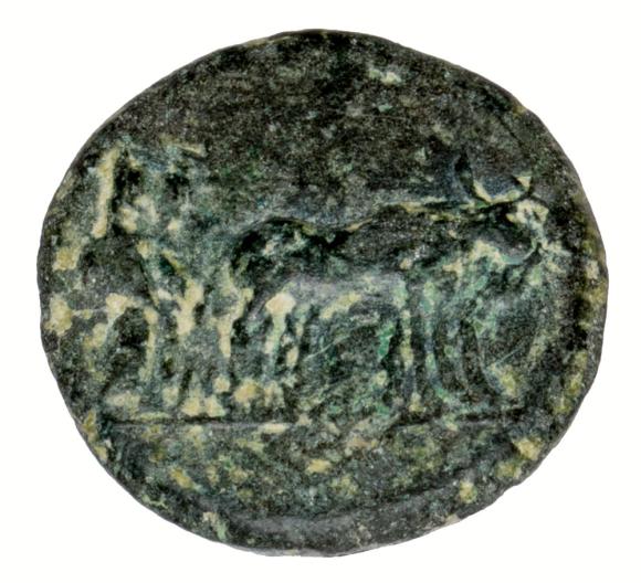 Brąz 27 p.n.e. - 14 n.e. Oktawian August Cesarstwo Rzymskie Macedonia Filippi