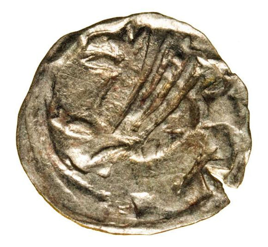 Halerz Zygmunt Luksemburczyk Świdnica