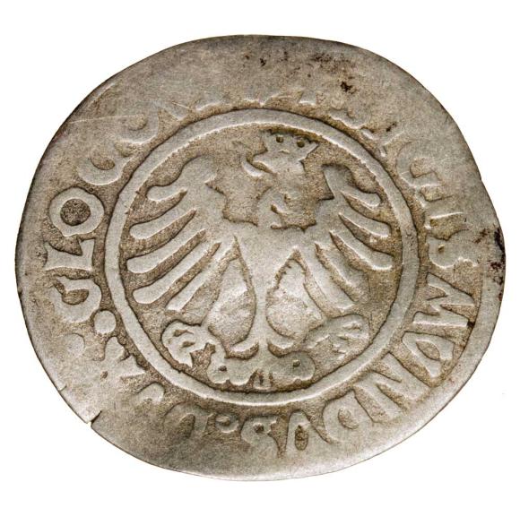 Grosz 1506 Zygmunt I Stary Księstwo Głogowskie Głogów