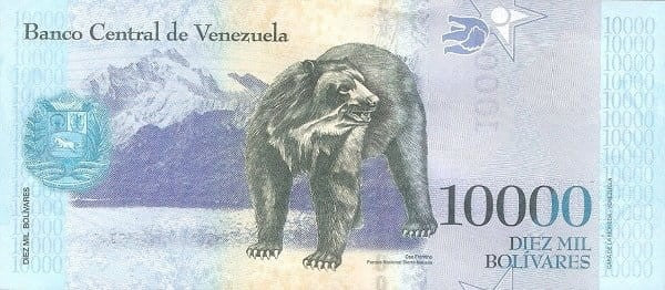 Wenezuela 10 000 Boliwarów Niedźwiedź 2017 P-98b