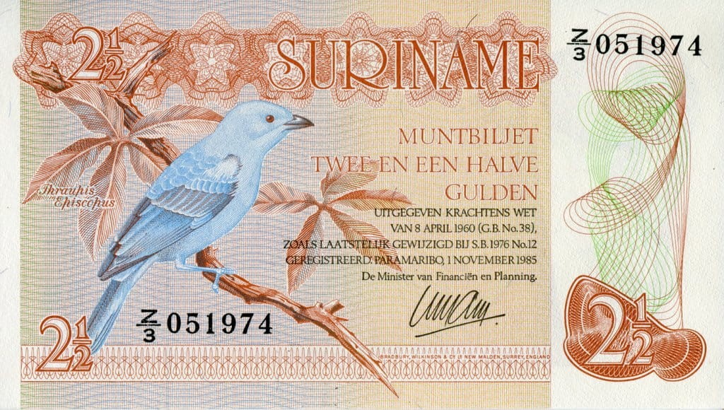 Surinam 2 i 1/2 guldena Ptak 1985 P-119a