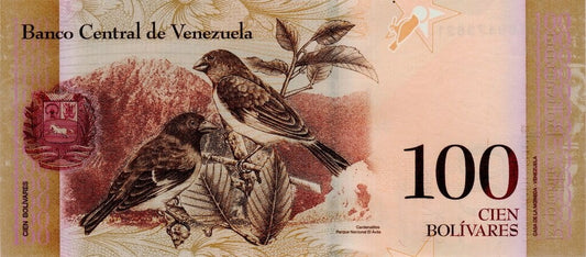 Wenezuela 100 Boliwarów Czyż czerwony 2015 P-93j
